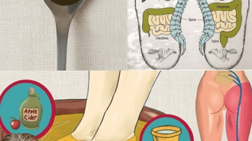 Onion and Onion Skins: A Gentle Natural Approach to Prostate and Bladder Wellness