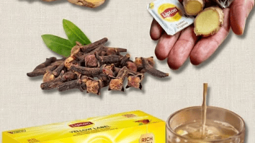 Onion and Onion Skins: A Gentle Natural Approach to Prostate and Bladder Wellness