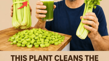 Discover the 2025 Miracle Drink That Could Transform Your Health Forever