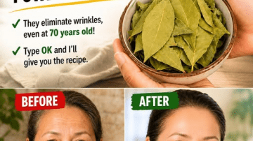 Aloe Vera for Eye Health: Natural Relief for Redness, Dry Eyes, and Irritation