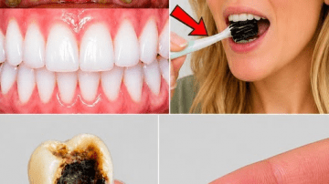 Adding Chia Seeds and Plain Yogurt to Your Morning Routine Is a Quiet Shift Gaining Massive Attention