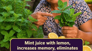 The Simple Morning Blend Helping Men Take Control of Their Health After 50