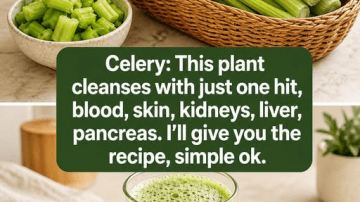 Dr. Norman Walker (99) – “49 Years Without Illness!” | My 7 Daily Superfoods