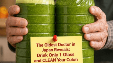 The Hidden Power of the Avocado Seed and How to Use It