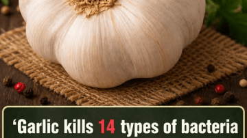 SENIORS! Forget Eggs! Eat THIS to Fight Sarcopenia and Rebuild Muscle Fast