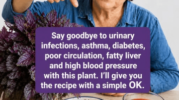 Most Seniors Over 60 Don’t Know This About Their Evening Salad